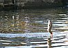 IMG_0665.JPG