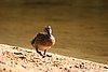 IMG_0673.JPG