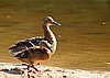 IMG_0674.JPG