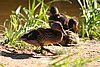 IMG_0675.JPG