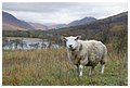 2009.10 - Scotland