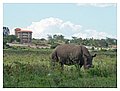 2009.12 - Nairobi