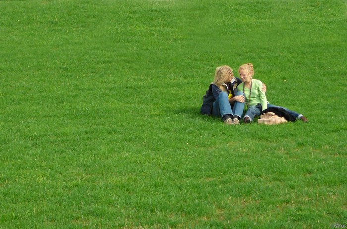P1000429.JPG