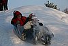 IMG_8860.JPG