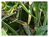 24_P1010406.JPG