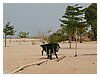 32_P1010441.JPG