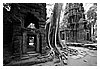 IMG_4142_bw.jpg