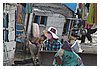IMG_4732.JPG