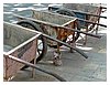 12_P1000849.JPG