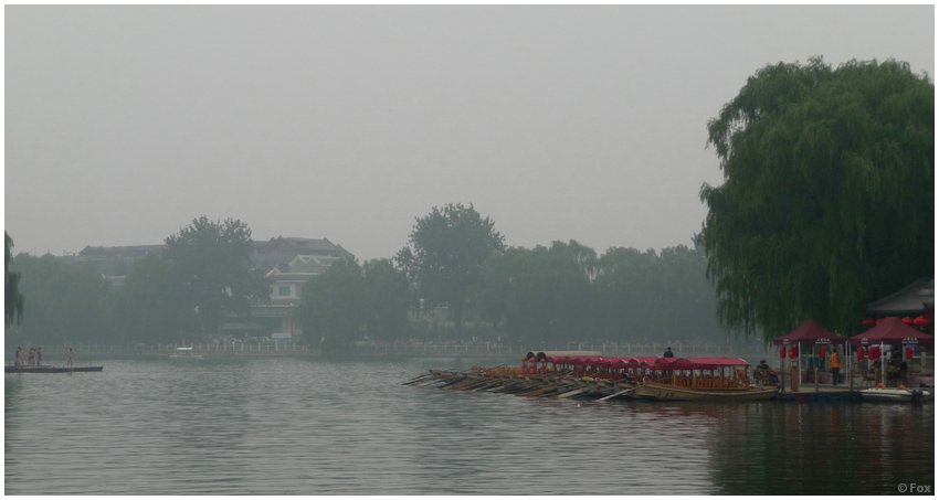 P1000646.JPG