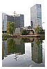 IMG_4392.JPG