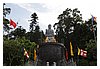 IMG_4928.JPG