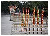 IMG_4979.JPG
