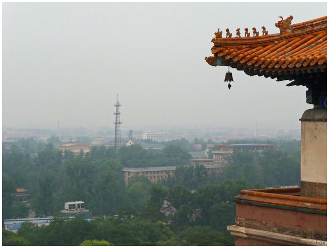 P1030218.JPG