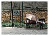 P1030143.JPG