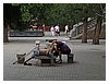 P1030174.JPG