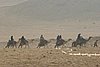 IMG_0116.JPG