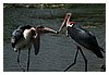 IMG_4727.JPG
