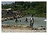 IMG_4731.jpg