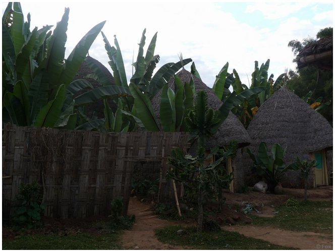 P1020328.JPG