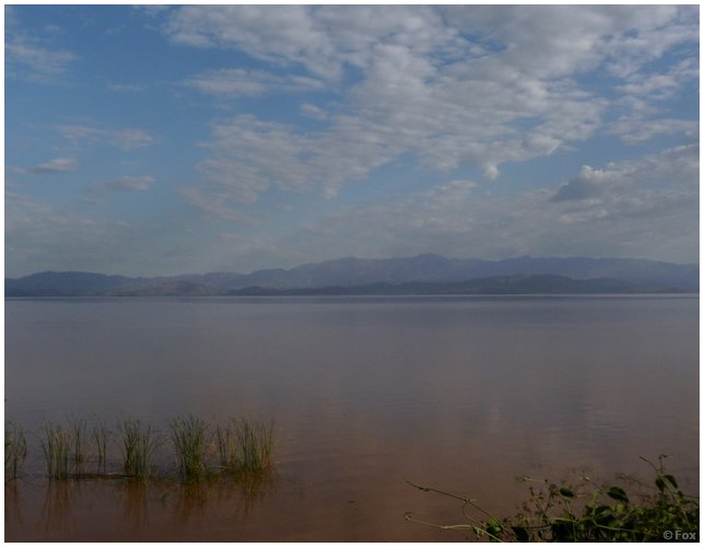 P1020321.JPG