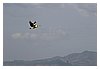 IMG_4981.JPG