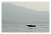 IMG_4992.JPG