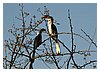 IMG_5445.JPG