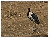 IMG_5870.JPG