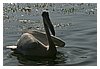 IMG_5889.JPG