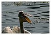 IMG_5891.JPG