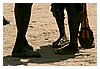 IMG_5660.JPG