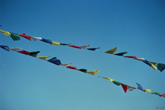 K_30A_0009.jpg