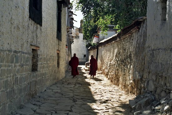 K_5A_0454.jpg