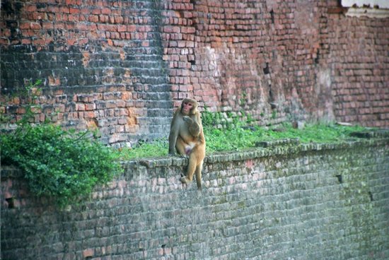 N_0038.jpg