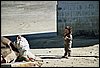 K_11A_0123.jpg