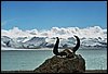 K_14A_0301.jpg