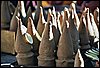 K_1A_0350.jpg
