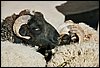 K_34A_0064.jpg