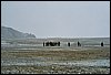 K_7A_0308.jpg