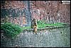 N_0038.jpg