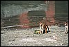 N_0052.jpg