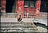 N_0054.jpg