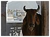 IMG_7620.JPG