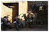 IMG_7816.JPG