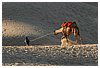 IMG_8041.JPG