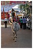 IMG_7599.JPG