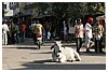 IMG_7608.JPG