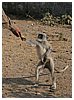 IMG_8288.JPG