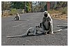 IMG_8318.JPG
